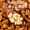 Wholesale of New Northeastern Pine Nuts with Large Kernels, Loose-Packed Pine Nuts, Roasted Nuts, Snacks for Pregnant Women