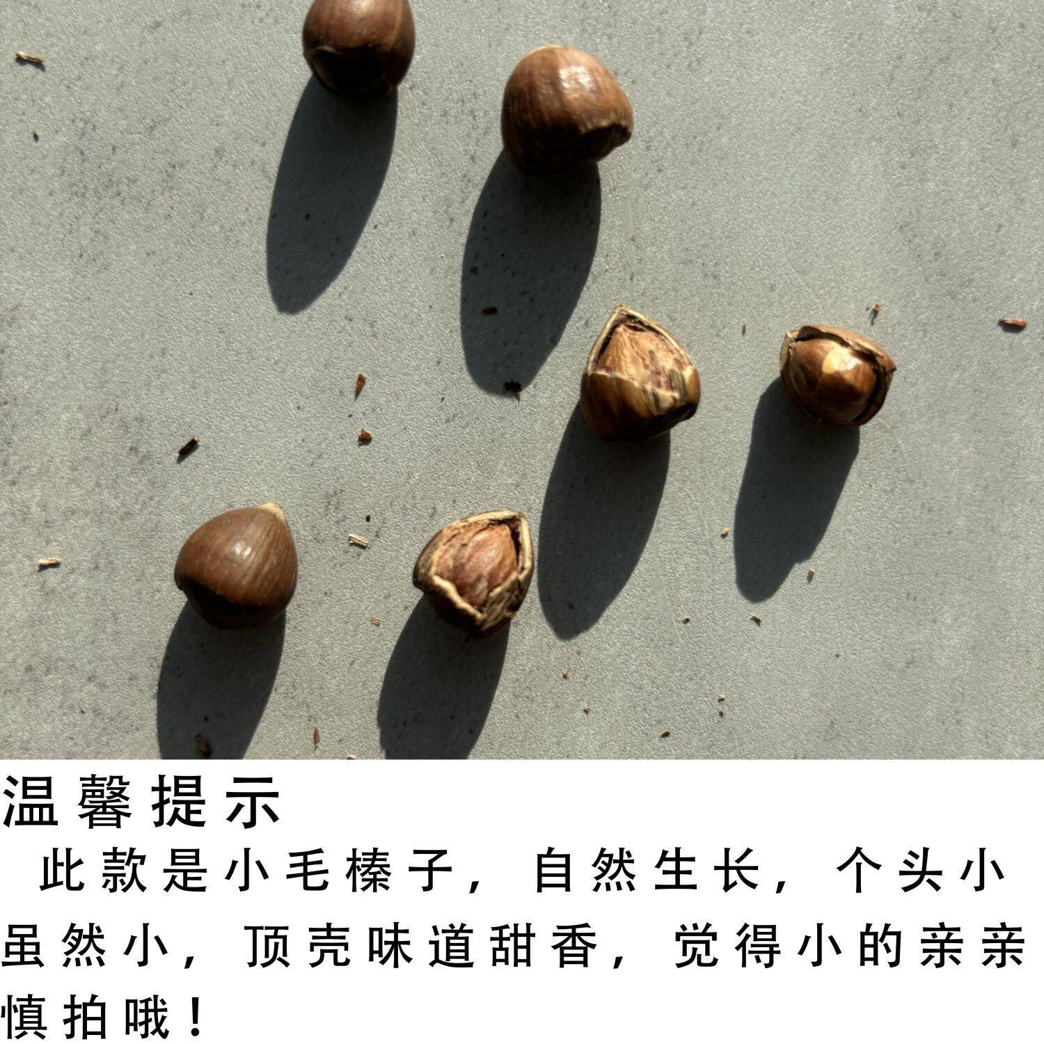 Specialty Small Hazelnuts 500g Fresh Original Flavor Roasted Snacks for Pregnant Women in Bags