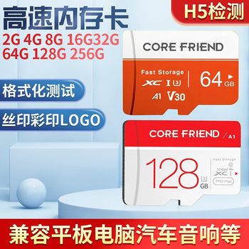 High-speed memory card 128g driving recorder 256g surveillance camera 512g memory card camera universal SD card