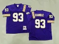 Minneapolis vikings 93-1
