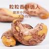 [Wholesale] Purple-Skinned Cashew Nuts with Skin, New Salt-Baked Nuts in Bulk, Snacks