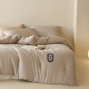 Fluffy Soft Puff Quilt Student Dormitory Zhongke Antibacterial Soybean Spring and Autumn Quilt Autumn and Winter Warm Winter Quilt Core