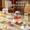 Multifunctional All-Glass Health Pot Household Split Tea Kettle Small Tea Kettle Constant Temperature Flower Teapot