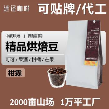 Premium Coffee Beans Hand-Brewed Coffee Shop Ethiopia Washed Sidamo G1 Fruit Wine Flavor Medium Roast Low Acidity Sweet and Moist