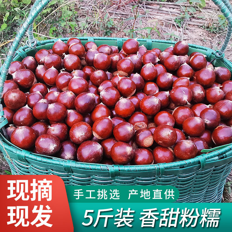 2025 Fujian Jian'Ou Specialty Fresh Chestnuts, Raw Chestnuts, Fresh Oil Chestnuts, High Mountain Farm Freshly Picked Hazelnuts, Sugar-Fried Chestnuts