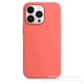 With Apple -22 Orange Red