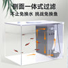 Desktop Small Fish Tank Fish Ecological Tank Desktop Integrated Filter Tank Small Household Living Room Landscaping Ornamental Fish Tank