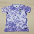 2627 south korea away game