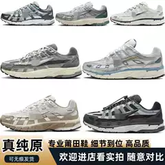 Nike Sneakers P-6000
