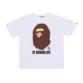 D009 white