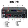 Av-660Bt High-Power Version 180W Two-Channel Home Car Audio Wide Voltage Version Bluetooth Amplifier