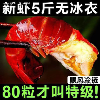 Lobster Tail Without Ice, Extra Large Shrimp Tail, Extra Large Without Ice, Fresh Live Crayfish Frozen