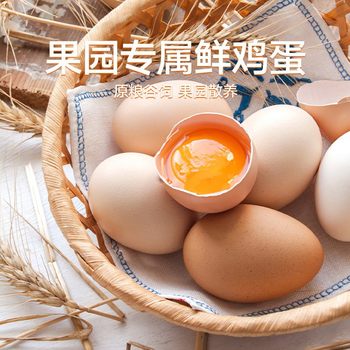 Authentic Free-Range Eggs 40 Pieces * 45g Free Shipping Farm Fresh Eggs Grass Eggs Newborn Eggs Grain Eggs Freshly Picked