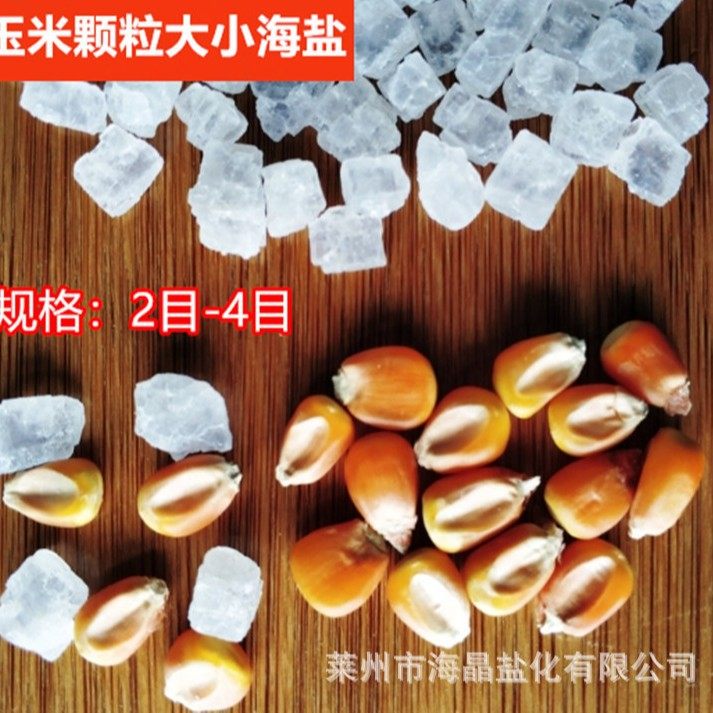 Natural Industrial Salt Boiler Soft Water Large Particle Salt Coarse Sea Salt Hot Compress Salt Moxibustion Coarse Particle Salt Industrial Salt