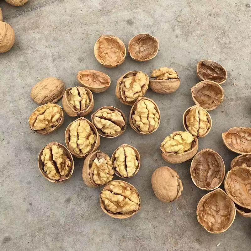 Xinjiang Paper-Skinned Walnuts Wholesale 500g Hand-Peeled New Year Snacks Thin-Skinned 185 Raw Walnuts Hand-Peeled Ready to Open