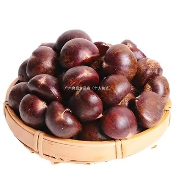 Fresh Chestnuts from the Farm, Freshly Picked Raw Hairy Chestnuts, Oil Chestnuts, Non-Mianxi Chestnuts