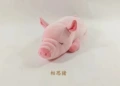 40cm Lying posture Acacia pig