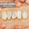 2025 Fresh Raw Peanuts, New Arrivals, Oil Extraction, Farm-Grown Pink-Skinned Large Peanuts