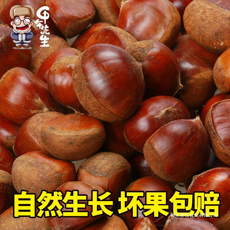 2025 Fresh Dandong Chestnuts 2.5kg Fresh Chestnuts Tender Large Chestnut Wild Chestnut New Oil Chestnuts 10 Pieces