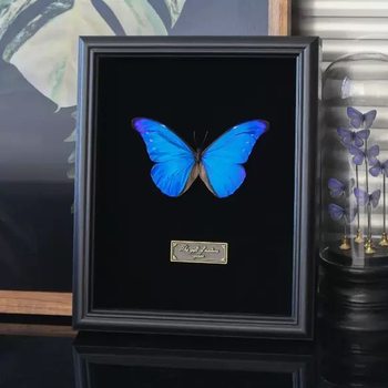 European Style 2cm Glass Hollow Photo Frame Handmade DIY Stereoscopic Butterfly Specimen Frame Insect Wooden Picture Frame Nordic Frame
