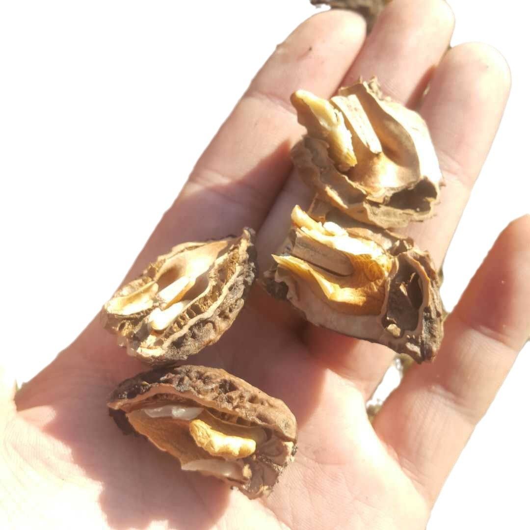 Yichun walnut small Xing'an Ridge walnut Wenwan walnut raw walnut thick peel walnut 500g free shipping