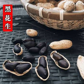 2025 Original Selenium-Rich Black Peanuts Sun-Dried Small Black Peanuts with Shells, Sweet Black Skin Seeds, Old Variety Specialty