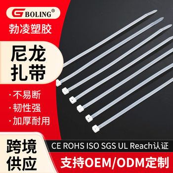 Special Export Nylon Cable Ties for Household Appliances, Anti-Aging Binding Ties, 100 Plastic Ties