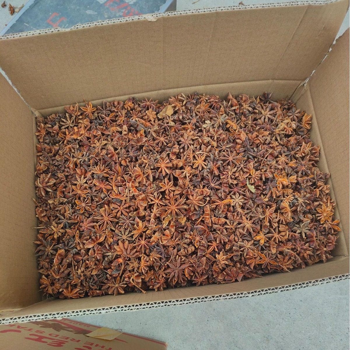 Authentic Guangxi Star Anise Seasoning, New Stock, Sulfur-Free, Fully Dried, Cooking Specialty, Star Anise for Stewing Meat and Making Soup, Organic Spice