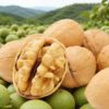 Manufacturer Wholesale 185 Paper-Skinned Walnuts New Crop Dried Fruit Wholesale Xinjiang Aksu Thin-Skinned Walnuts Nut Food