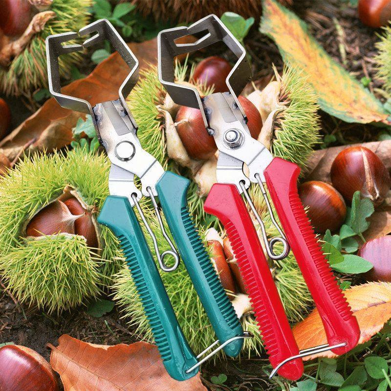 Grape and Lychee Fruit Picking Scissors, Pruning and Flower Pruning Scissors, Gardening Tools, Fruit Pruning Scissors