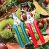 Grape and Lychee Fruit Picking Scissors, Pruning and Flower Pruning Scissors, Gardening Tools, Fruit Pruning Scissors