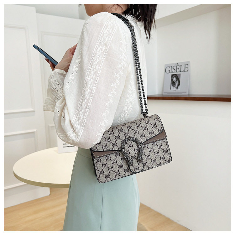 New Cross-Border Dionysus Bag Fashion Trend Retro Printed Chain Bag Popular Armpit Bag Cross-Body Shoulder Bag Women's Bag 10 O1CN015fBGcJ1IhF4SOdkf6 !!2221129960924 0 cib
