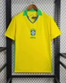2526 brazil home fan kit