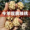 [New Walnut] Thin-Skinned Raw Walnuts, Thin-Shelled Xinjiang Sun-Dried Raw Walnuts, Dried Fruits and Nuts, Original Snacks