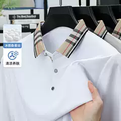 2026 Men's Summer Fashion Polo Shirt for Young and Middle-Aged Men, New Style Ice Silk Short-Sleeve T-Shirt, Wholesale