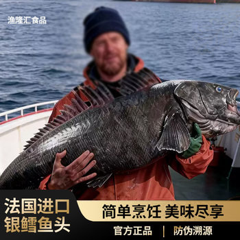 Frozen Whole Antarctic Dogfish Head from France, Used as a Culinary Ingredient for Cooking, Frozen Antarctic Dogfish Head