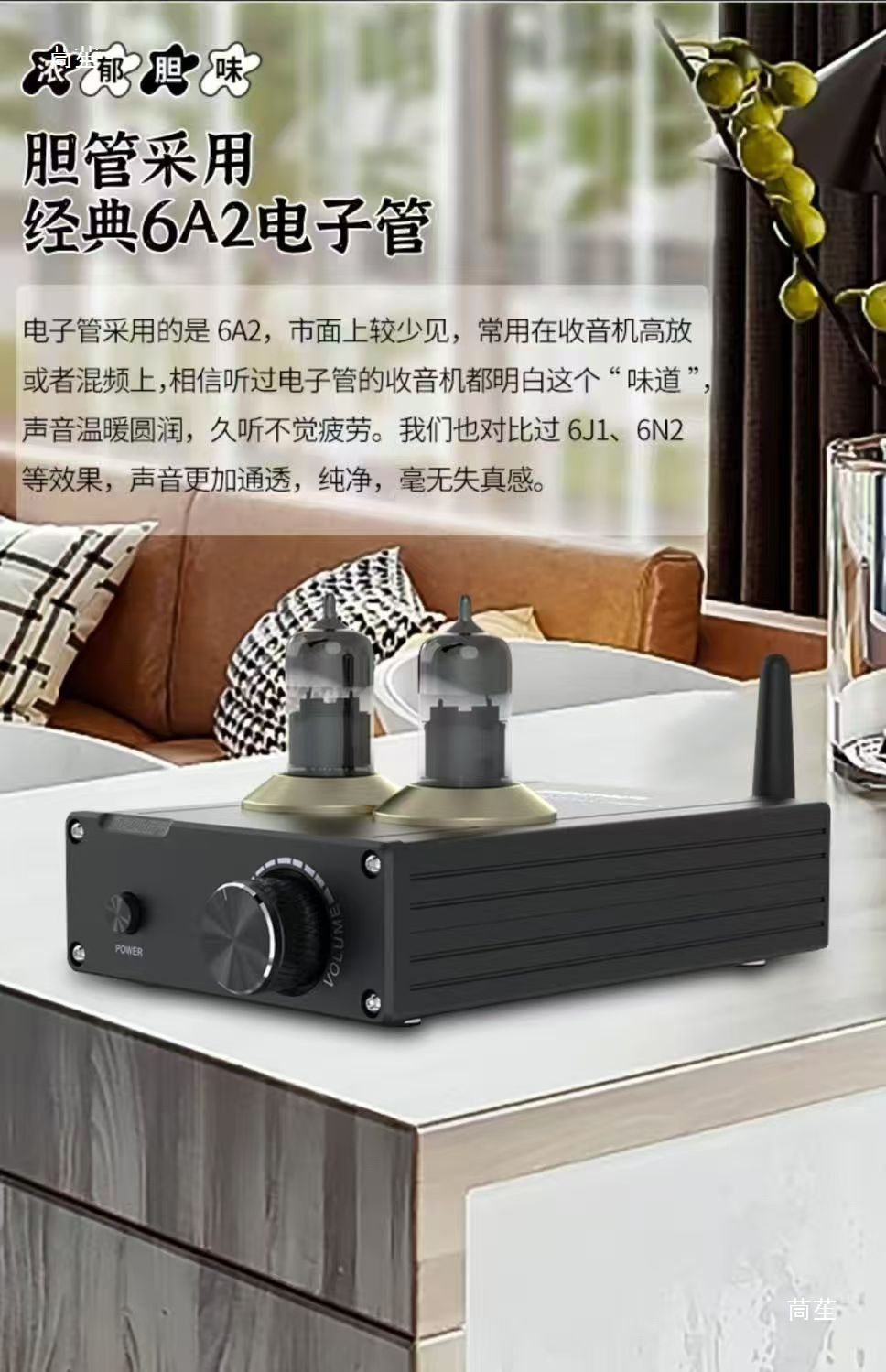 Weiliang Audio Brzhifi Tube Amplifier Tpa-6A2 Fever 5.0 Bluetooth Tube Digital Amplifier
