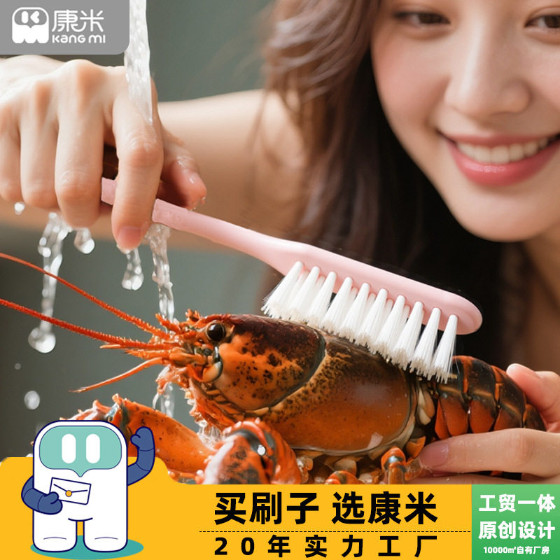 Shoe Brush Household Hard Hair Cleaning Brush Plastic Long Handle Laundry Brush Cleaning Crayfish Brush Department Store Shoe Brush Wholesale