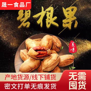 New Original Flavor Pecan Canned 500g Original Dried Fruit Nuts Roasted Seeds and Nuts Snacks Produced Nuts