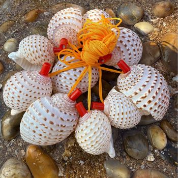 Shell Water Ripple Conch Horn Horn Horn Whistle Kidsren's Toys Travel Souvenirs Natural Conch