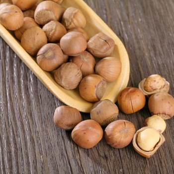 Authentic northeast opening big hazelnut 500g original Zhenzi fresh nuts dried fruit fried goods new year snacks specialty