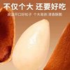 2025 New Large-Sized Cracked Pine Nuts from Northeast China, Pine Nut Snacks Wholesale, Roasted Nuts