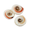 Natural shell conch sliced rose snail handmade diy clothes accessories decorative crafts necklace material wholesale