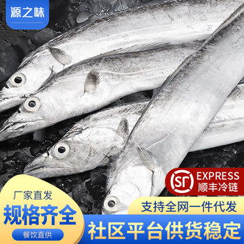 Hairtail Fresh Frozen Special Large White Hairtail Hairtail Fishing Whole Seafood Aquatic Products Whole Box Commercial Wholesale