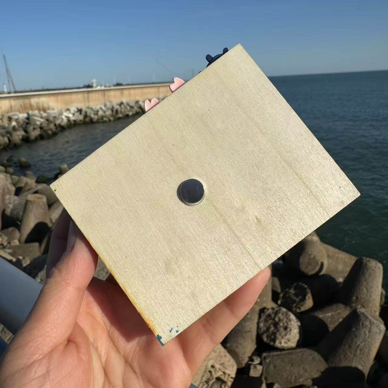 Natural Conch Shell Refrigerator Stickers Souvenir Features DIY Wenchuang Seaside Gift Jewelry Crafts Mediterranean