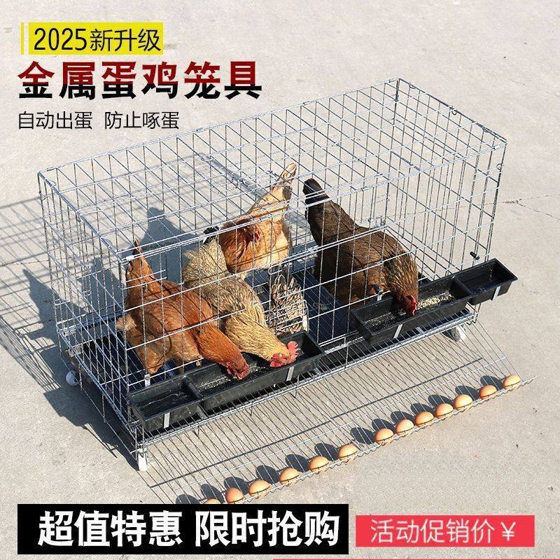 Chicken Cage Household Large Size Free Shipping Breeding Cage Household Chicken Cage Automatic Rolling Egg Chicken Cage Egg Chicken Cage Wholesale
