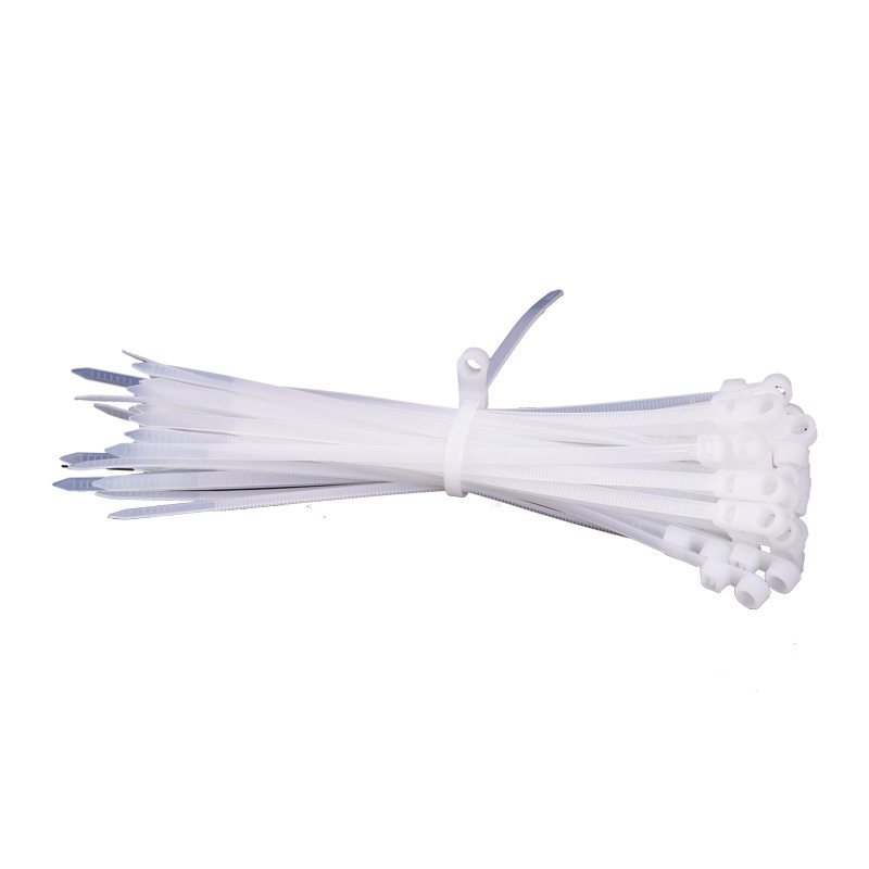 Fixed head cable tie manufacturers wholesale self-locking black and white nylon double hole self-locking nylon cable tie