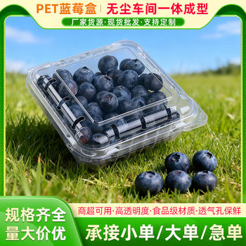 Blueberry Box 125B Disposable Fruit Box Pet Perforated Box Plastic Fruit Packaging Box 125g Packaging Lunch Box