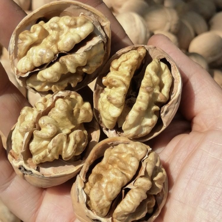 Xinjiang Paper-Skinned Walnuts 185, Thin-Skinned and Thick-Fleshed, Original Flavor, New Raw Walnuts in Bulk, Support Dropshipping of Thin-Skinned Walnuts