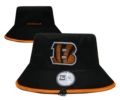 Tigers 1 Bengals